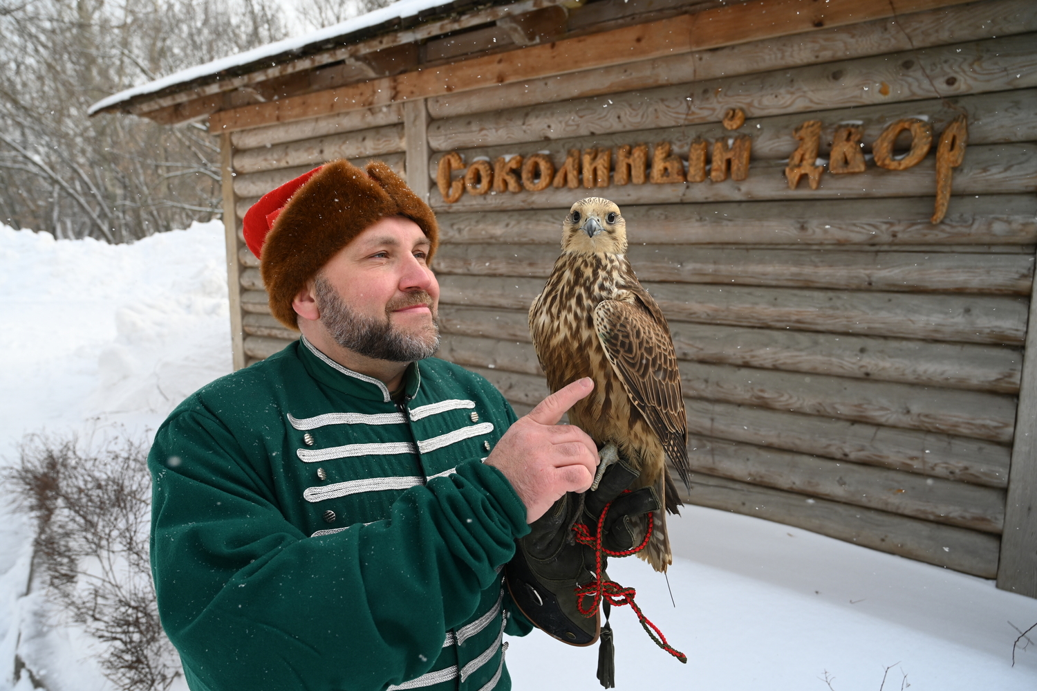 Соколиный двор в Коломенском