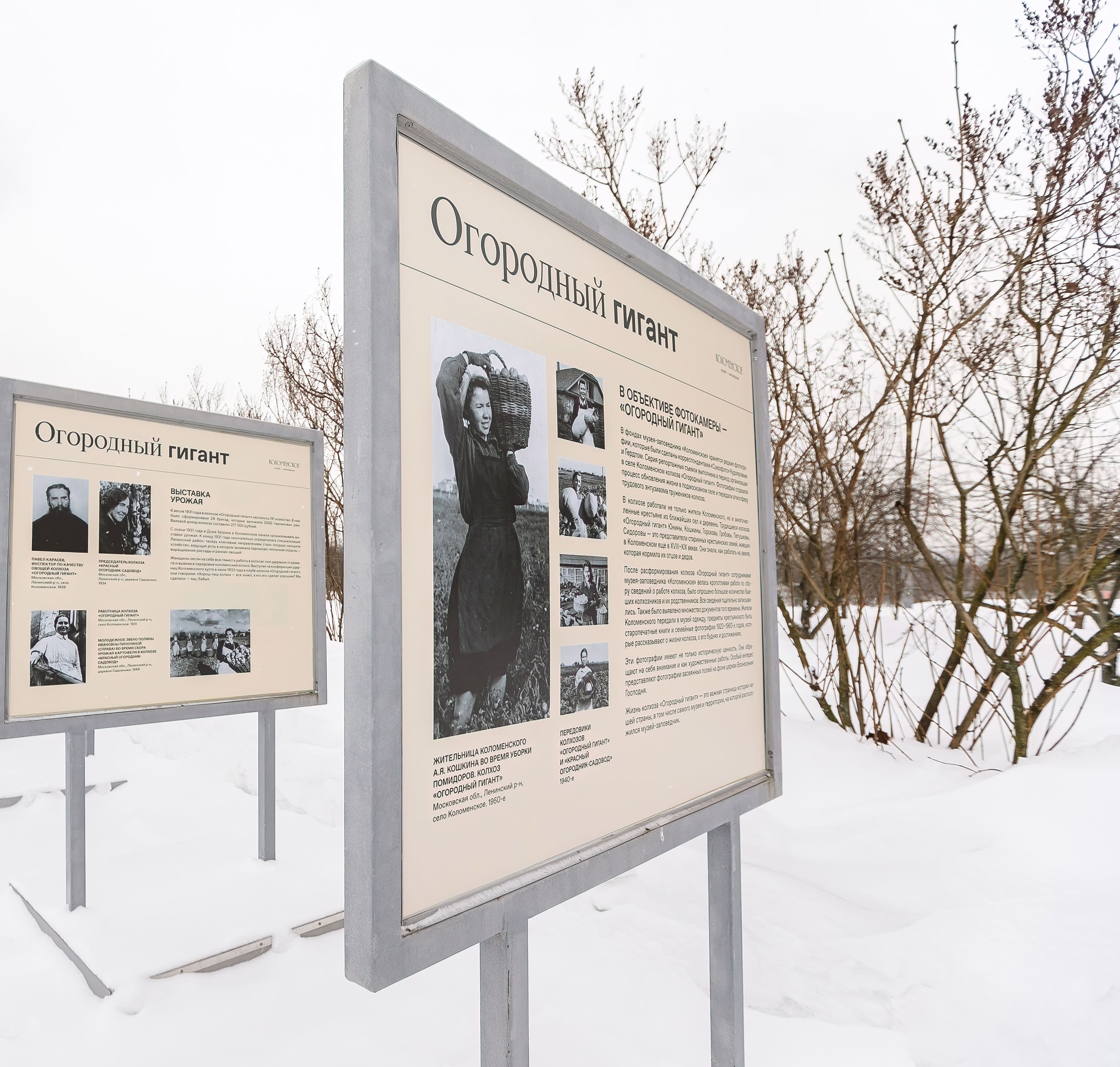 Стендовая выставка о колхозе «Огородный гигант»